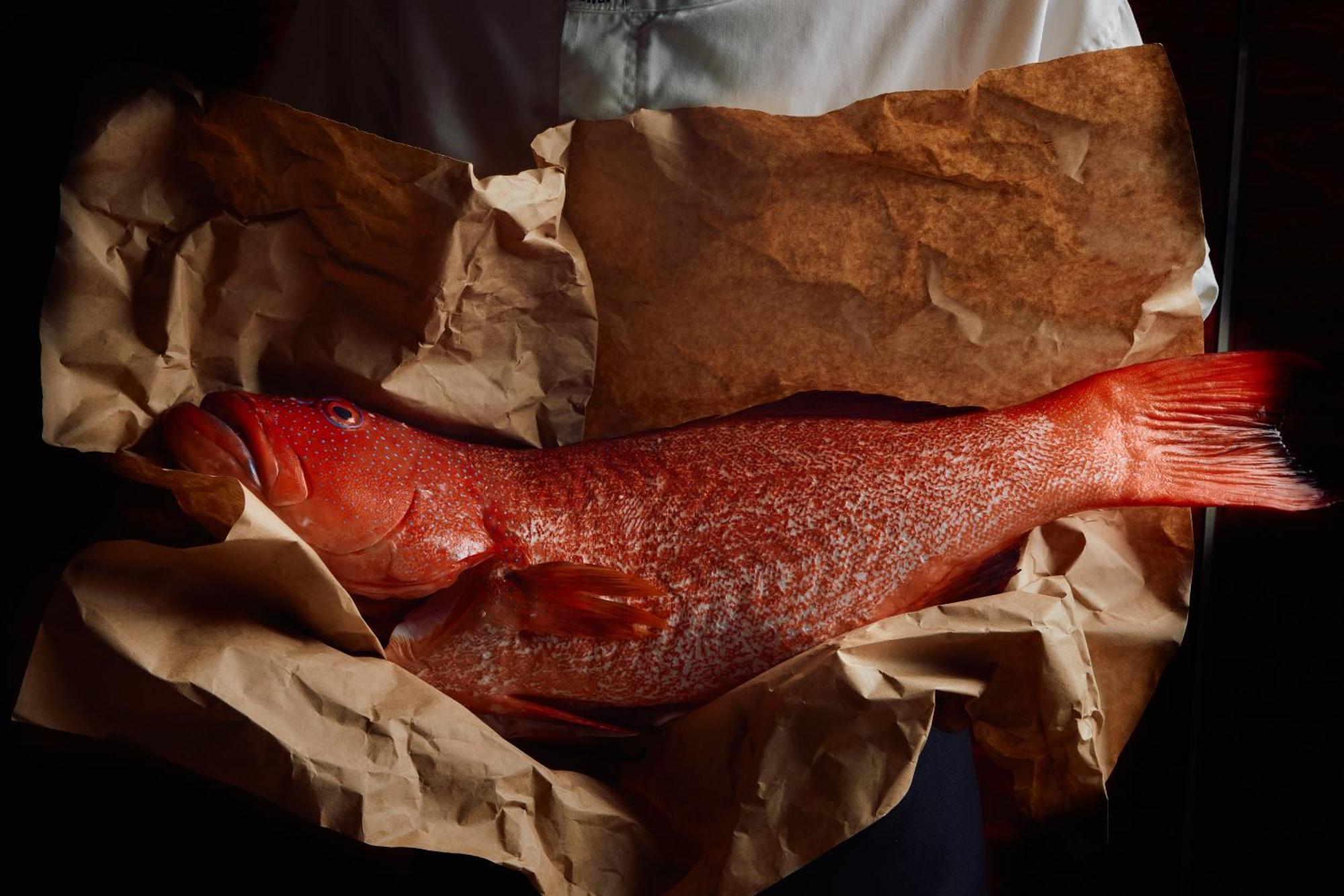 Hotel Park Hyatt Melbourne Exteriér fotografie A smoked turbot